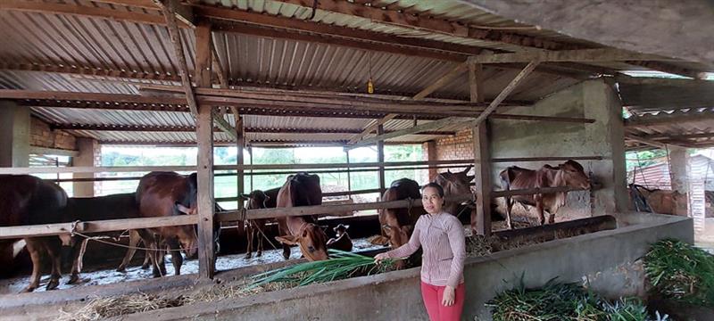 Hội viên phụ nữ  võ Thị Tâm Thôn 1 xã An Nhơn – làm kinh tế giỏi thực hiện tốt cuộc cận động 5 không 3 sạch