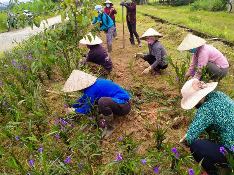 Tổ chức cho chi hội ra quân làm tuyến đường hoa