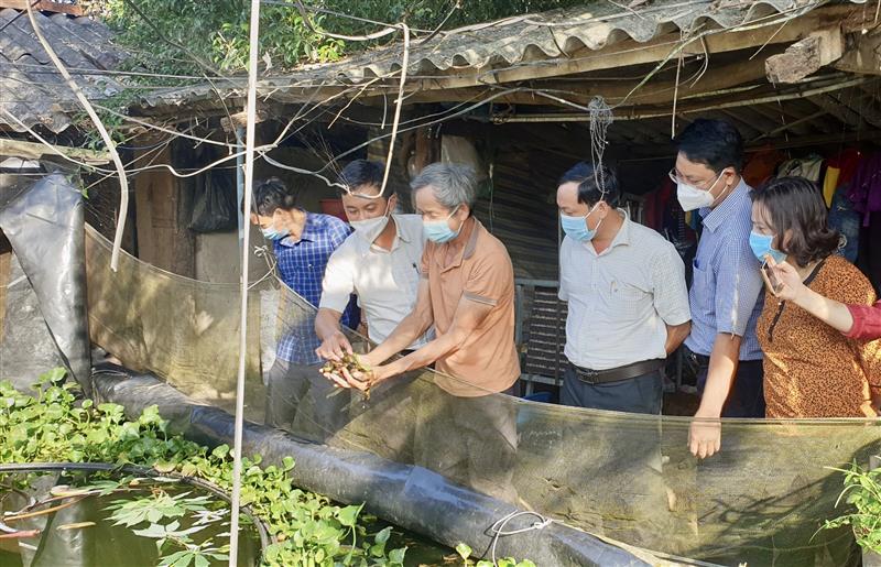 Đồng chí Phan Đức Thái – Phó Bí thư Thường trực Huyện ủy, cùng các đồng chí Lãnh đạo Ban Dân vận Huyện ủy, MTTQ và các đoàn thể huyện thăm quan các mô hình phát triển kinh tế hiệu quả