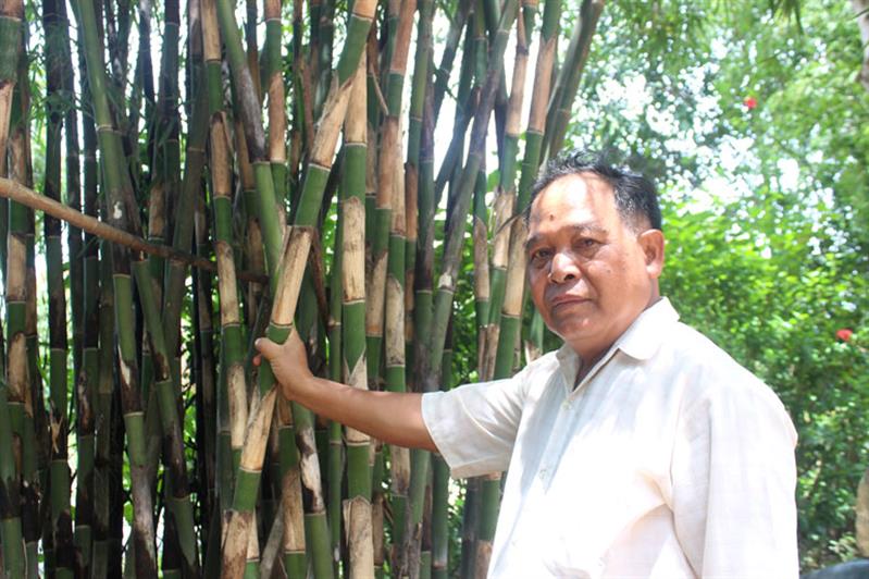 Bí thư Chi bộ, Trưởng thôn Tố Lan (xã An Nhơn) giới thiệu về cây tre tầm vông được đồng bào Châu Mạ trồng tại thôn