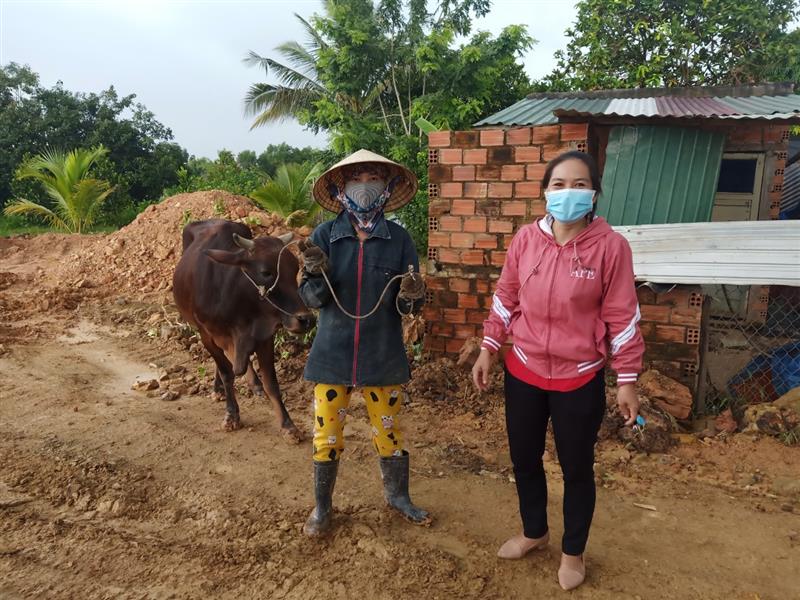 Chị Vũ Thị Hà,TDP 6B - thị trấn Đạ Tẻh được hỗ trợ con bò giống để phát triển chăn nuôi