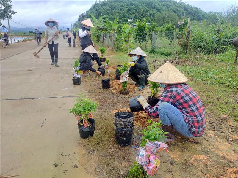 Chi Hội PN Thôn 7 tổ chức tốt việc trồng hoa hai bên đường giao thông nông thôn, phân loại xử lý rác thải tại nguồn, vệ sinh môi trường trên địa bàn Tổ dân phố	