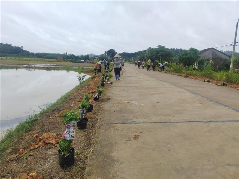 Chi Hội PN Thôn 7 tổ chức tốt việc trồng hoa hai bên đường giao thông nông thôn, phân loại xử lý rác thải tại nguồn, vệ sinh môi trường trên địa bàn Tổ dân phố	