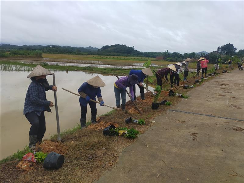 Chi Hội PN Thôn 7 tổ chức tốt việc trồng hoa hai bên đường giao thông nông thôn, phân loại xử lý rác thải tại nguồn, vệ sinh môi trường trên địa bàn Tổ dân phố	