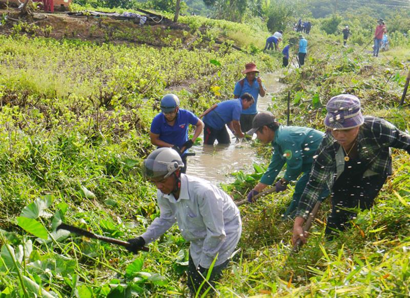 Con mương ứ đọng bị cây cỏ xâm thực nhanh chóng được dọn sạch, khơi thông dòng chảy