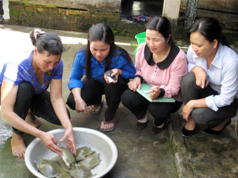 Lãnh đạo Hội LHPN tỉnh thăm mô hình nuôi ba ba tại hộ gia đình hội viên phụ nữ ở Đạ Tẻh