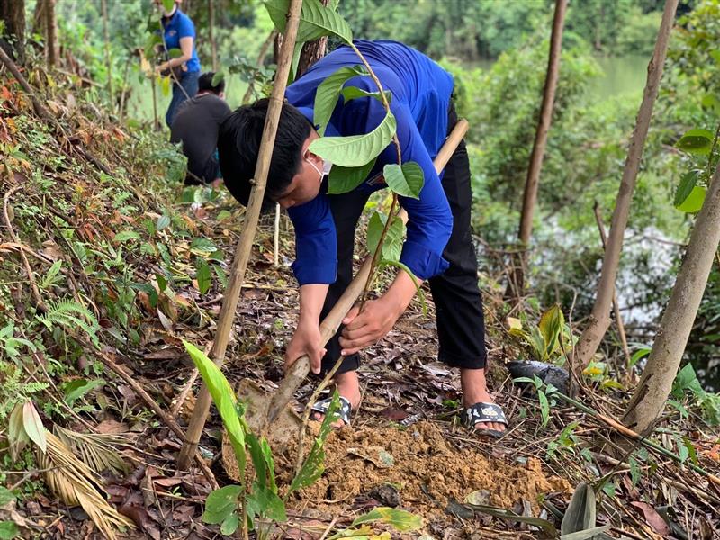 Đoàn viên thanh niên ra quân xây dựng công trình thanh niên Trồng rừng cảnh quan tại Khu vực Hồ Đạ Tẻh