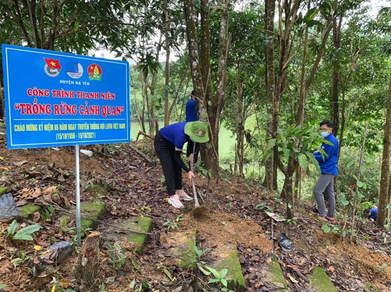 Đoàn viên thanh niên ra quân xây dựng công trình thanh niên Trồng rừng cảnh quan tại Khu vực Hồ Đạ Tẻh