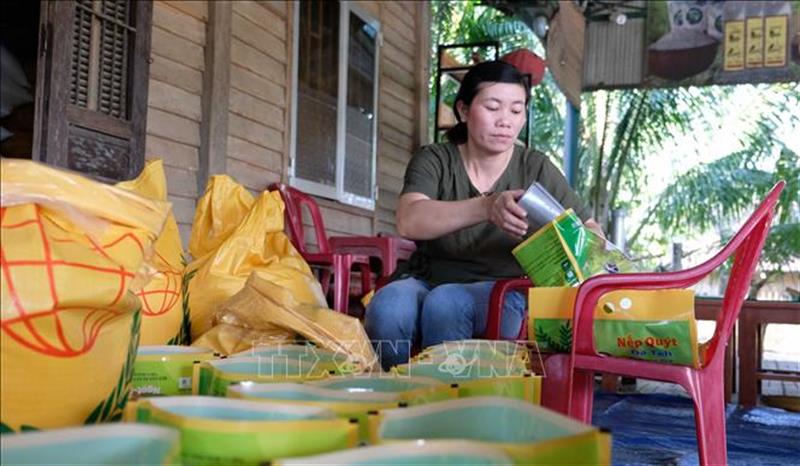 Người dân xã An Nhơn đóng gói sản phẩm gạo Nếp Quýt Đạ Tẻh chuẩn bị cho thị trường Tết Nguyên đán 2021