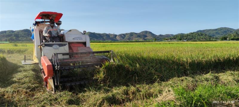 Nhờ cơ giới hóa, giờ đây nông dân đã giảm được nhiều sức lao động, năng suất cũng nhờ đó mà tăng cao hơn