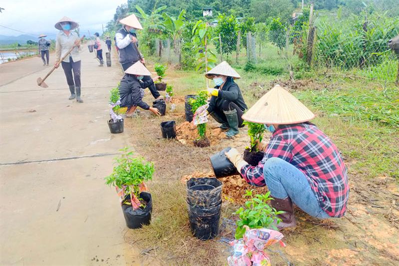 Triển khai Mô hình tuyến đường dân vận khéo xanh - sạch - đẹp tại Tổ dân phố 7, thị trấn Đạ Tẻh