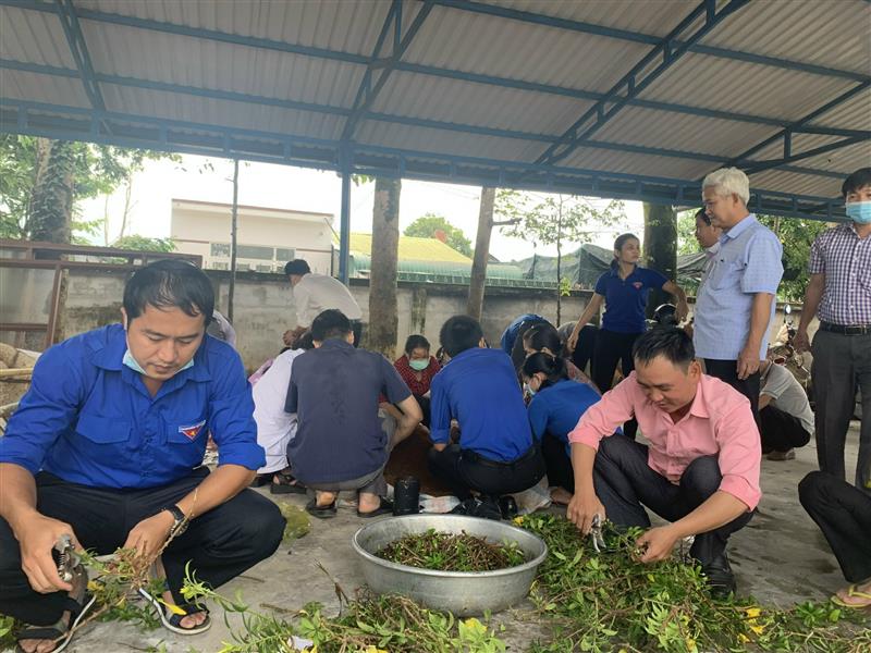 Phong trào xây dựng cơ quan xanh - sạch -  đẹp trong đoàn viên công nhân viên chức lao động