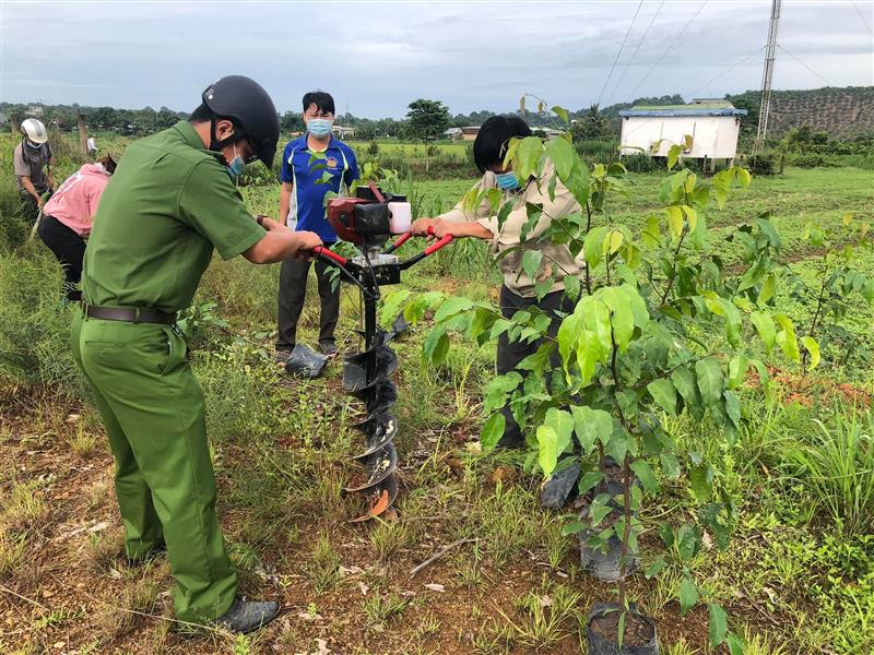 Tham gia trồng cây phân tán