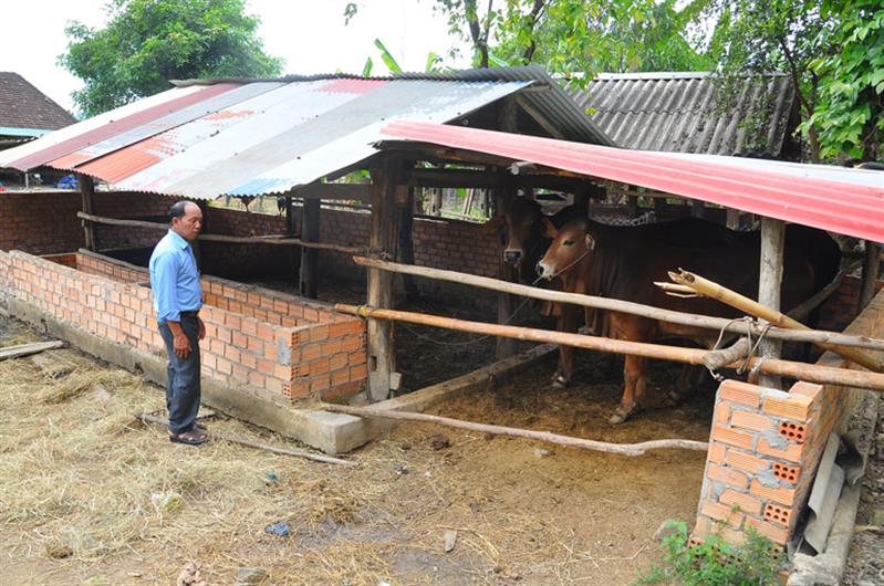 Chuồng bò nhà ông Nông Văn Thân