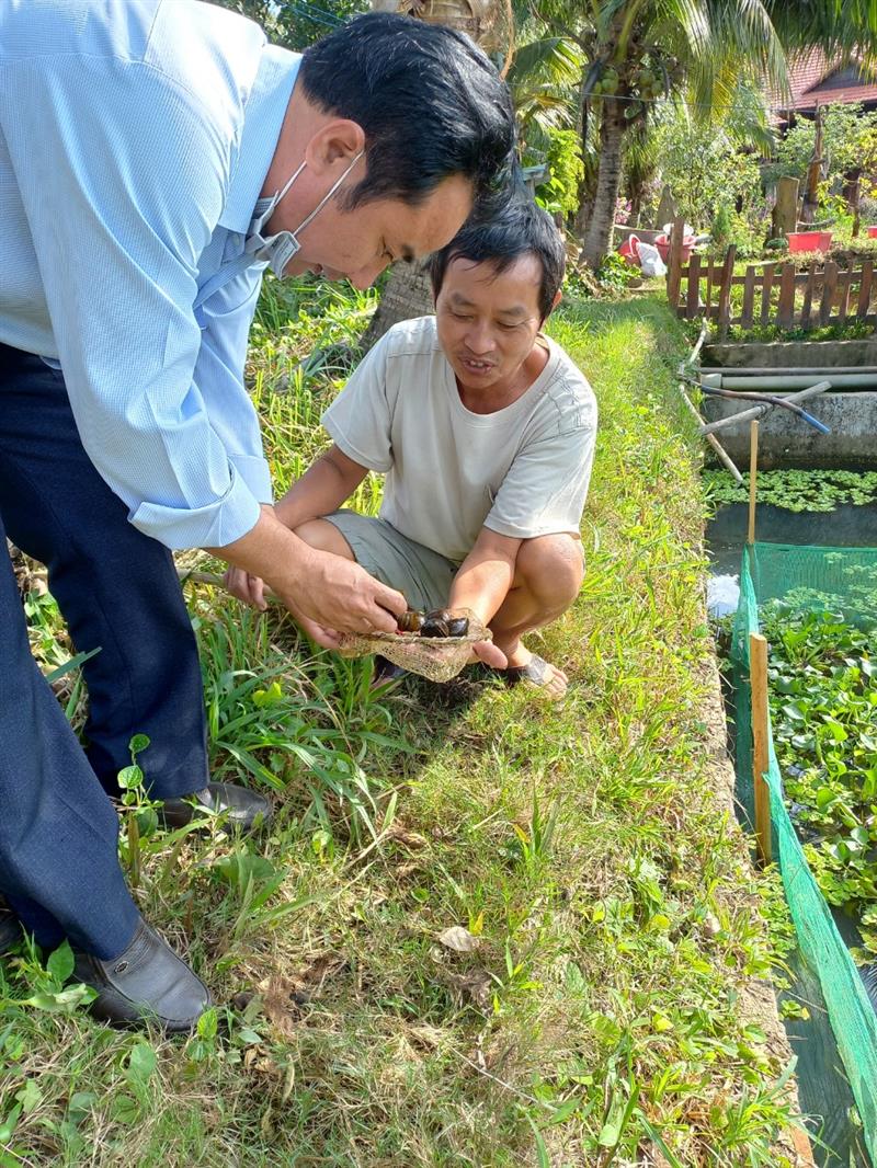 Hội Nông dân xã An Nhơn phối hợp xây dựng mô hình phát triển kinh tế cho hội viên Hội Nông dân xã An Nhơn phối hợp xây dựng mô hình phát triển kinh tế cho hội viên